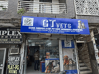 GT VETS