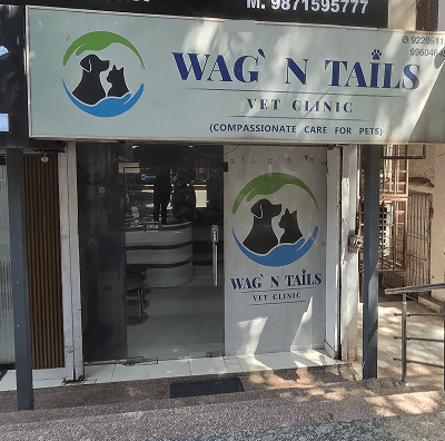 WAG' N TAILS