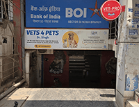 Vets4Pets Hospital