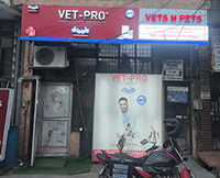 Vets N Pets