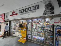 Pet Gallery Sushant Lok