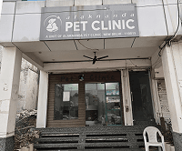 Alaknanda Pet Clinic - Faridabad