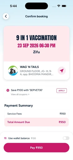 Confirm & pay